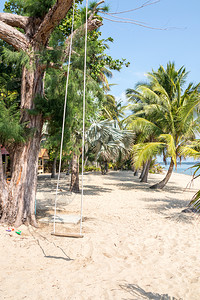 天空旅行平房热带海滩上树棕榈的热带绳子摇摆泰国Chumphon图片