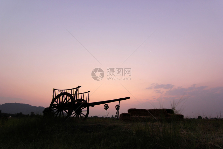 农业大车木头日出背景的野外公牛车轮背影图片