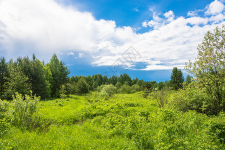 美丽的风景在俄罗斯的夏日天空多云树草地景观背景图片