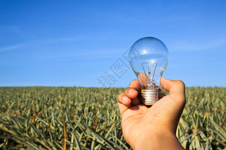 电的与明确自然养护概念齐头并进的灯泡玻璃蓝色图片