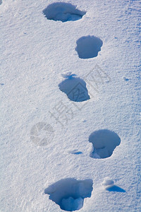 蓝色的清雪中脚印阴凉处飘过图片