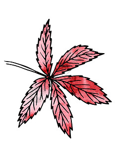 红色植物叶子手绘和计算机处理设自然景点药用植物花园景观设计手绘和算机处理园林绿化加工水彩背景图片