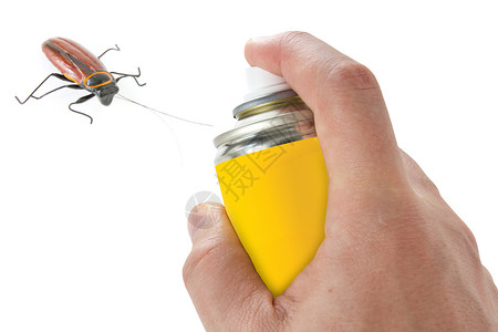 卫生灭绝瓶子在蟑螂身上喷洒杀虫剂白底孤立的害虫图片