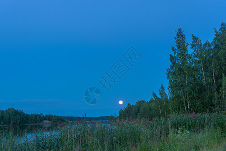 天空俄罗斯卡雷利亚夏季傍晚美丽的月球风景亮树图片