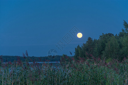 晚上俄罗斯卡雷利亚夏季傍晚美丽的月球风景光太阴图片