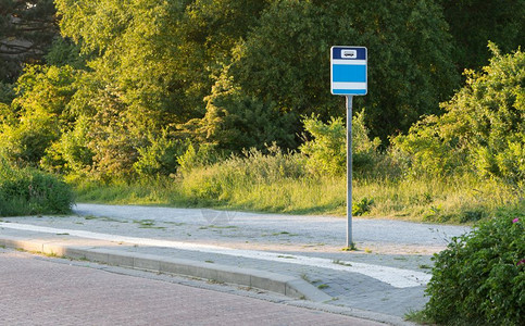 荷兰的公交车站选择重点绿色乘客路标图片