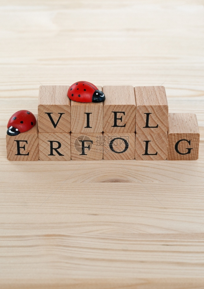 复制幸福德文的词句以取得许多成功VielErfolg和木头上的小虫祝贺图片