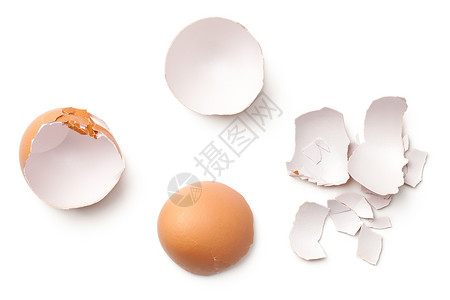 破碎的鸡蛋壳图片