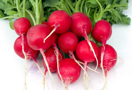 红色拉迪什菲努斯蔬菜萝卜植物图片