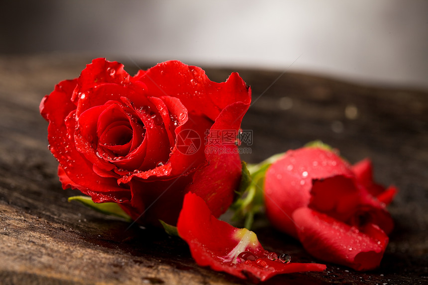 木制的红玫瑰照片木制桌上有水滴子图片
