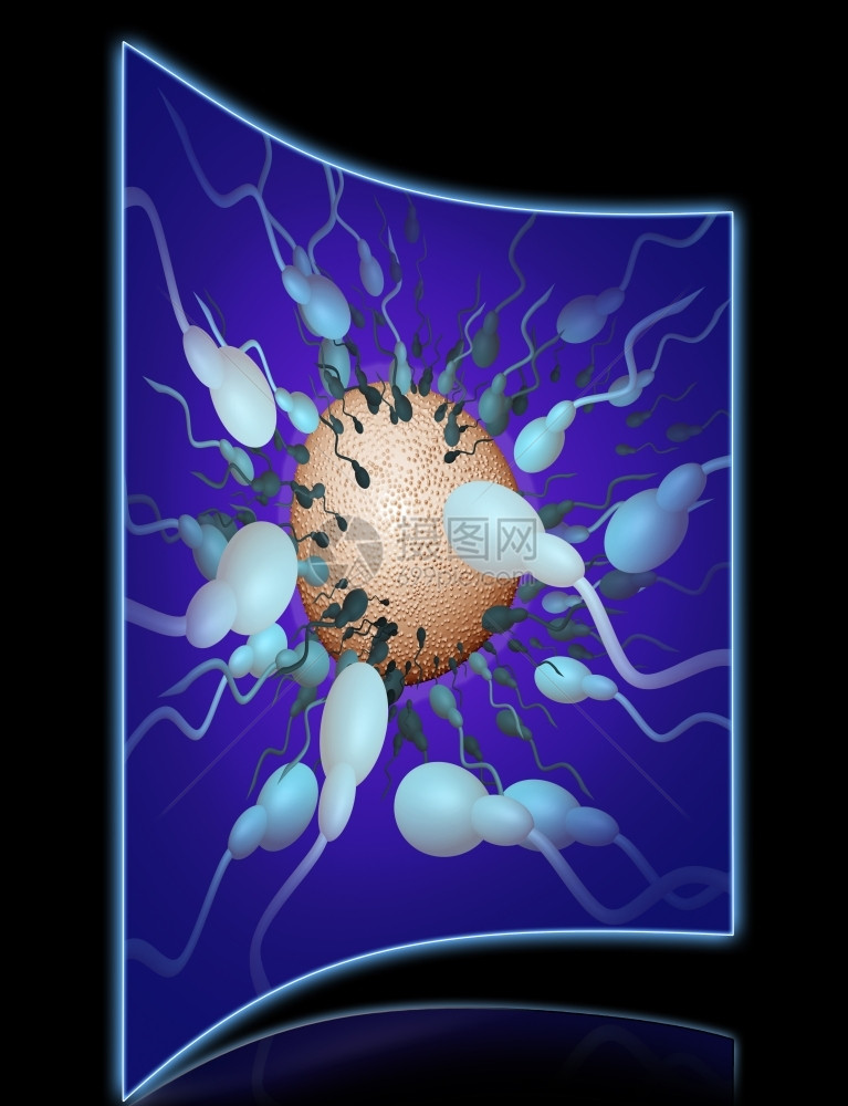 渲染三维生物学精子朝3D软件制成的鸡蛋方向行进图片