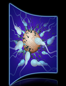 渲染三维生物学精子朝3D软件制成的鸡蛋方向行进背景图片