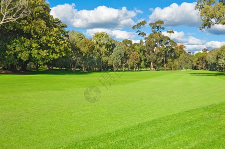 自然户外靠近城市附的绿色高尔夫球场景观图片