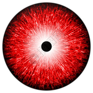 形象的瞳孔眼球显示红色睛在白背景上闪光反射的红眼睛背景图片