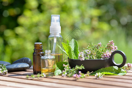 福利在花园的一张桌子上排列的香味植物叶和几瓶基本油子叶图片