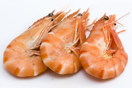 美味的3个新孤立虾背景相片煮沸健康图片