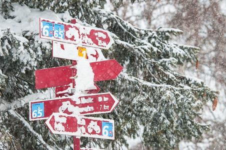 信息小路追踪在瑞士的信号路径下雪图片