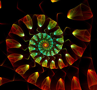 鹦鹉螺几何学伟大的旋壳抽象分形黑色背景伟大的螺旋壳抽象分形黑色背景零件背景图片