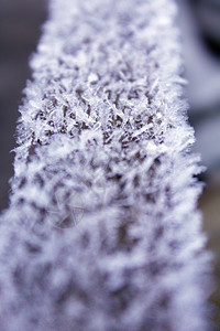 分段冬天木头上的白霜火图片
