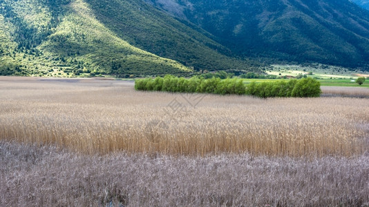 美丽的田地和山间的美景图片