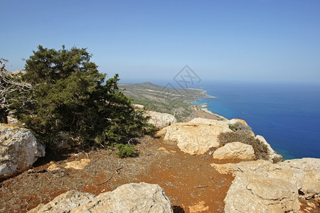 夏天户外阿卡马斯半岛塞浦路欧洲地中海图片