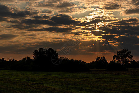 云景复制田园诗般的日出时有云草地在背景森林的子里日出时有云图片
