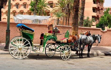 大篷车传统两辆马Morocco旅游摩洛哥图片