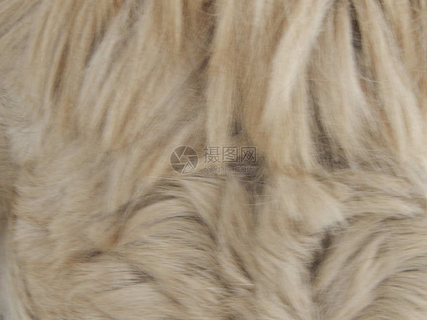 地毯羊毛和动物皮质打印材料图片