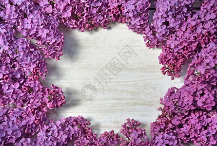 粉色的花植物中间有白色复制空的紫丽花束图片