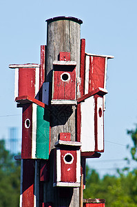 红色鸟屋一只柱子上有许多红木鸟屋巢极建筑学背景
