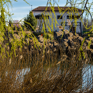 公园水西班牙帕伦亚卡斯蒂利和里昂市卡翁河景象腐肉图片