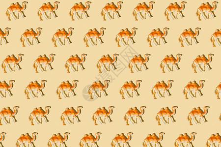 骆驼重复数字背景目的装饰品动物背景图片