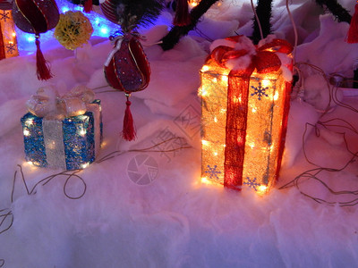 庆祝圣诞节和新年日的园地和装饰冬天庆典图片