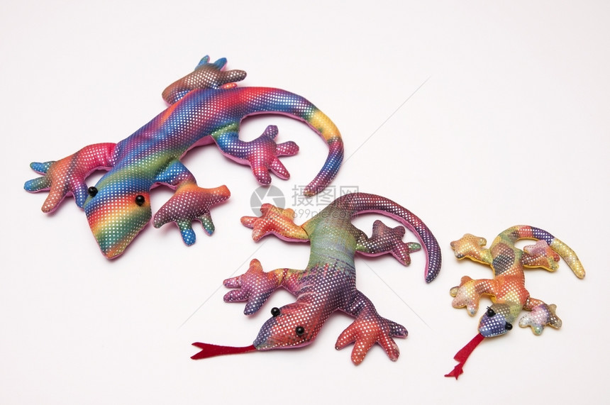 自然丰富多彩的宠物虹颜色众多的蜥蜴图片