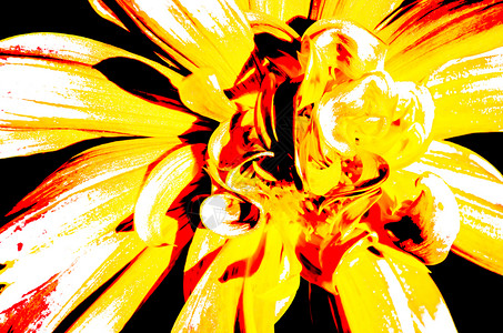 夏天大丽花的Dahlia花朵的色彩多插图充满活力的背景图片