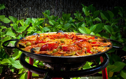 巴伦西亚厨师班牙语烹饪传统的西班牙Paella户外图片
