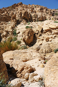 沿岸干旱沙漠自然保护区中的岩石溪流图片