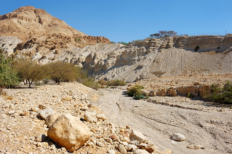 沿岸干旱沙漠自然保护区中的岩石图片