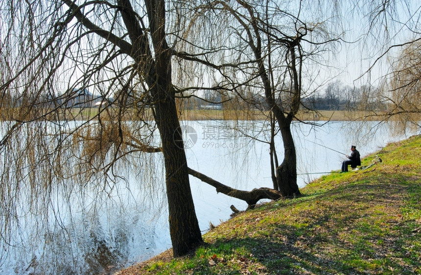 钓鱼湖岸一个小岛和春天的几棵树四月一种图片