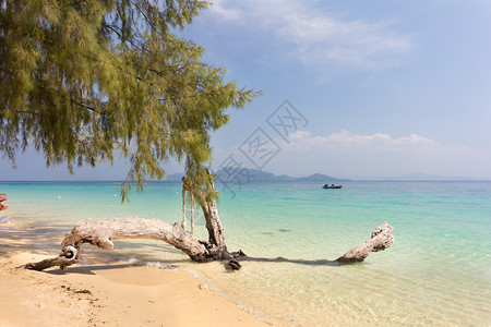 美丽的热带夏日海边风景图片