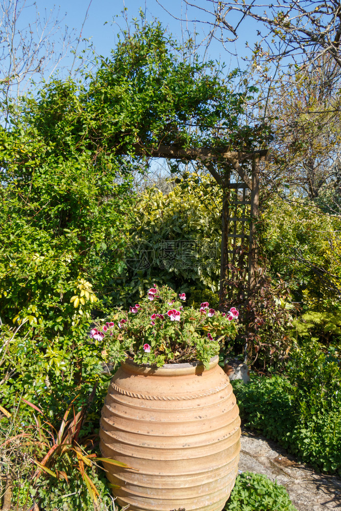 花盆春天竺葵带有pergola和罐子的景观花园图片