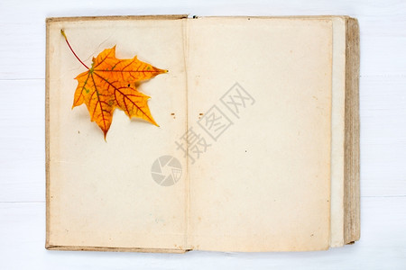 翻开书本中的秋叶图片