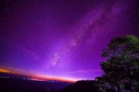 森林的夜空和银河图片