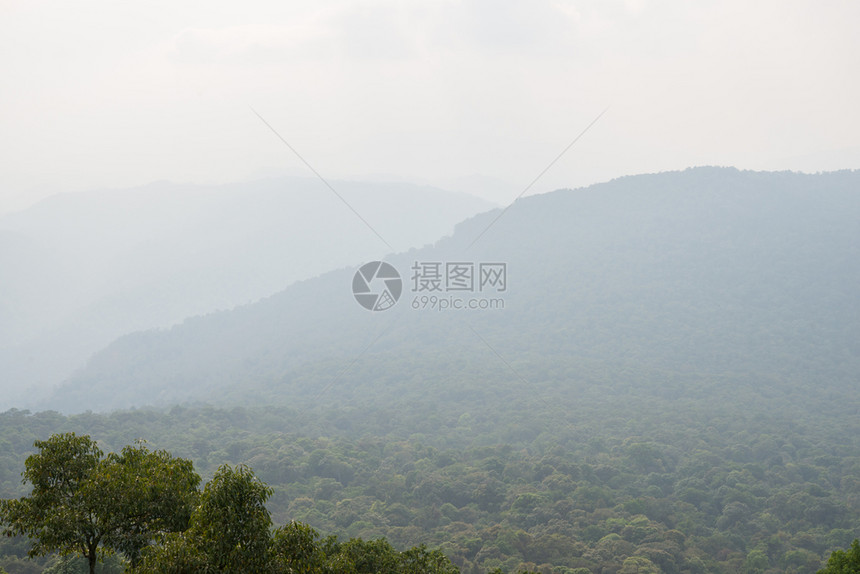 山间的薄雾和树林图片