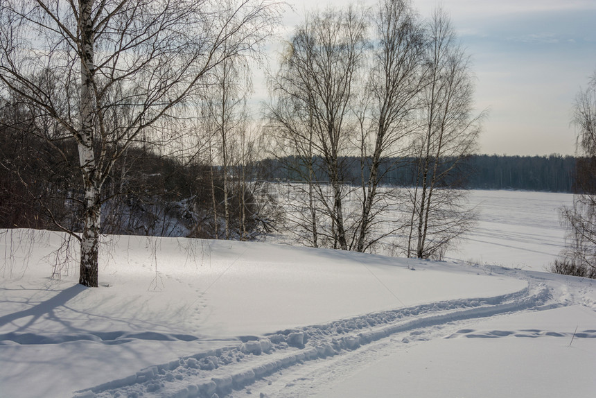 下雪的自然冬天寒冷雪坡冬日阳光明有树图片