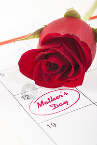 红色的问候爱玫瑰芽在日历上显示母亲节图片