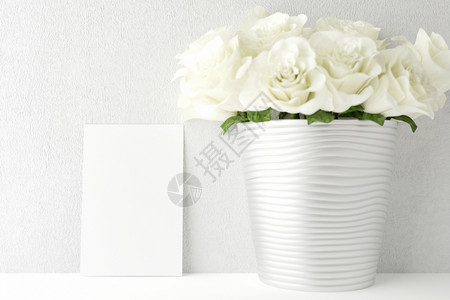 白色玫瑰和空白卡片背景图片