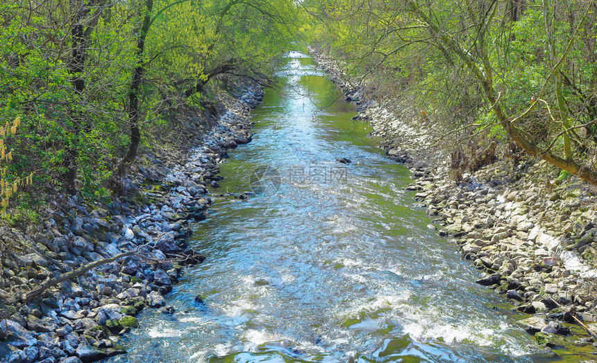 流动的户外季节春天有绿树的小河图片