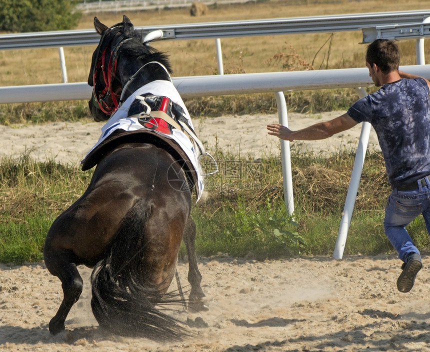 一匹马在开始赛后摔倒技能户外种族图片