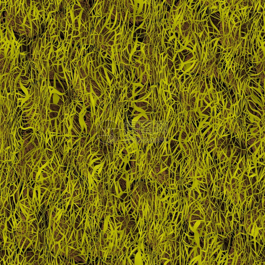 地面草31无缝的绿色图片